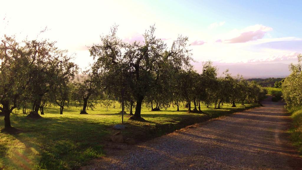 Podere La Casuccia Malmantile Chambre photo